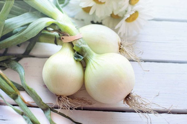 Onion сайт кракен