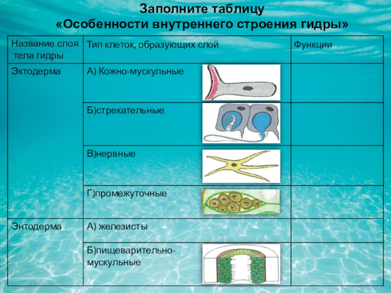 Кракен маркетплейс в россии